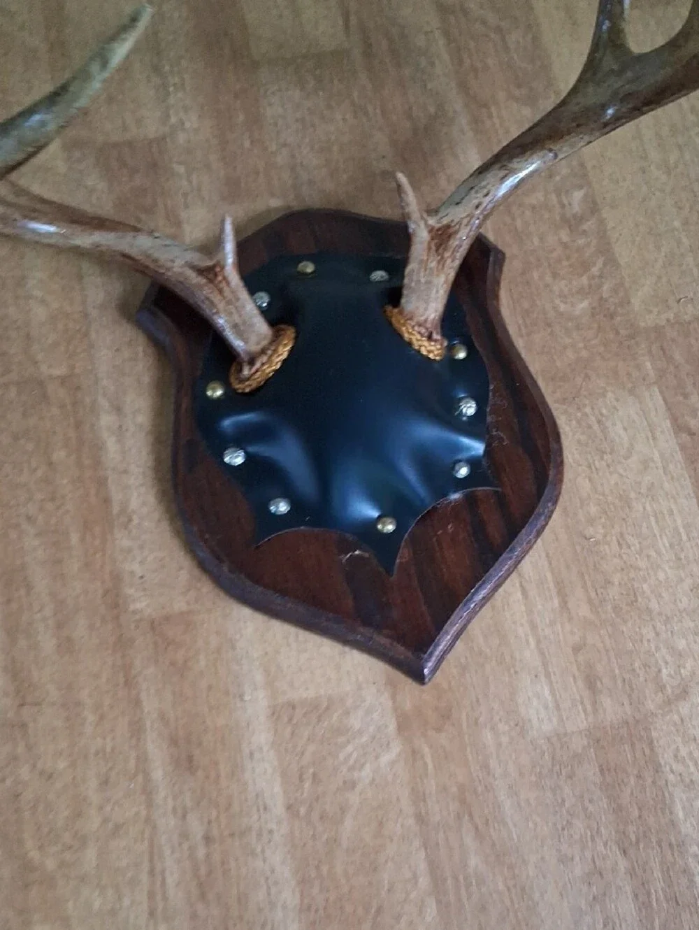 Vintage Antler Wall Plaque in Brown and Tan Cabin Decor